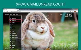 Cute Bunny Rabbit Wallpaper Hd New Tab