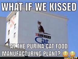 What If We Kissed Ifunny Stupid Memes Cute Memes Love Memes
