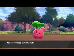 Cherubi is a grass type pokémon. Cherubi Pokemon Evolution Weakness Moveset Stats And More