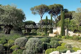Reportage Jardin Provencal Nathalie Pasquel L Gardens And Plants Photos Mediterranean Landscaping Mediterranean Garden Provence Garden