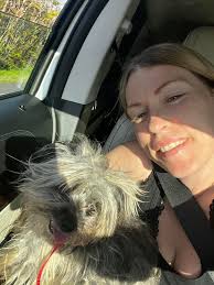 Lost & Found Pets in Apopka