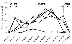 Serum Progesterone Concentration In Bali Cow During Pregnancy