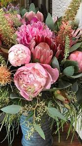 Protea Flower Protea Flower Wholesale Flowers Protea Plant