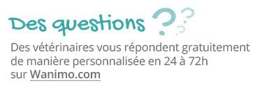 Un drame s'est déroulé hier, vers 11h30, sur le chemin de jean bezin: L Insuffisance Cardiaque Du Chien Age Wanimoveto