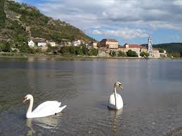 Wir bieten dir einzigartige unterkünfte in den bestlagen der wachau. Wachau Heritage 12 Rossatz Arnsdorf Hiking Route Outdooractive Com
