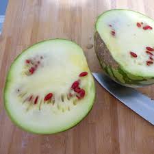 Image result for Citrullus lanatus