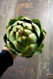 comment preparer des artichauts vinaigrette lolibox recettes de cuisine artichaut vinaigrette artichaut cuisson artichaut
