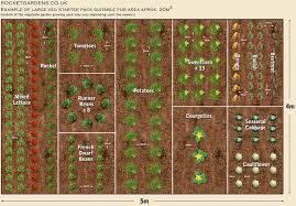 Large Vegetable Garden Layout Cdxnd Com Home Design In Pictures Veggie Garden Layout Starting A Vegetable Garden Vegetable Garden Beds