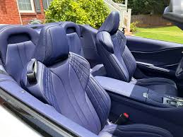 Image result for Polar Surge Satin 2024 LC