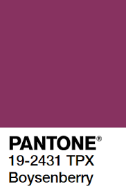 Pantone Boysenberry Similar To Raspberry Radiance And Red