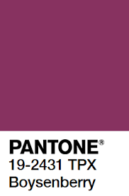 pantone boysenberry similar to raspberry radiance and red