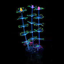 Glowing spectacles, however, are not exclusive to holiday displays. Fluorescent Coral Plant Aquarium Decoration Glow In The Dark Fish Tank Ornament Walmart Com Walmart Com