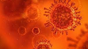 Tener dos dosis es clave para afrontar esta versión del virus la variante delta crece en españa. Nuevas Variantes Del Coronavirus Cantidad Y Donde Se Hallan