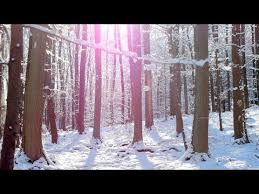 Instrumental Music To Relax Study And Work Snowy Woods Relaxdaily N 064 Free Mp3 Download Li Music For Studying New Age Music Wedding Invitation Vector