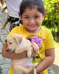 Jornada Veterinaria👩🏻‍⚕️❤️completamente gratis, desde el parque central  de Ciudad Sandino📌 Celebrando un día especial para todas las mascotas🥳🐾  gracias por unirte a esta linda iniciativa de bienestar para nuestros  fieles peluditos ...