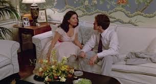 How does stingo feel about sophie after he meets her? Sophie S Choice 1982