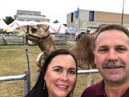 Frank and Friends Camel Dairy