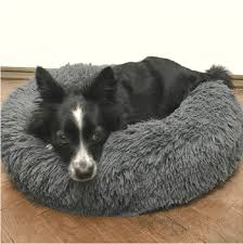 The information centre and staff were really helpful but as a kelpie owner and history enthusiast i was disappointed in the kelpie centre especially after reading all the previous. Original Calming Bed Anti Anxiety Dog Bed Designed To Soothe