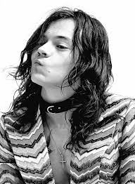 Crow Harry Styles On Twitter This Wierdo Did That Photoshoot In Real Life I Don T Understand What S The Point Of Wearing That Dog Collar He S Insulting The Dogs Https T Co Oc7lfuhgoz