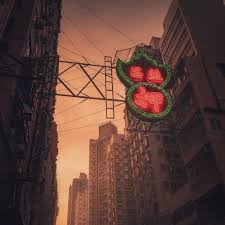 Hong kong's neon signs are now the technological equivalent of an endangered species. Hong Kong S Vanishing Signs