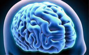 Présence de signes focaux à l'examen neurologique ; Noratest Diagnostiquer Alzheimer Grace A Une Prise De Sang