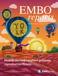 Feb 28, 2011 · foxconn has denied the reports and said it complies with all chinese regulations regarding working hours and overtime. Embo Reports