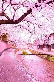 Beauty Nature On Twitter Japan Landscape Scenery Beautiful Landscapes