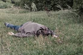 The corpse of a tramp in the grass. Criminal. Alcoholic intoxication.  Killing a homeless man. dead body after lightning strike Stock 사진 | Adobe  Stock