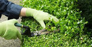 Services include, but are not limited to Tips For Easy Spring Home And Garden Maintenance Urdesignmag