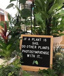 Humorous Plant Lovers Quote Garden Gardeners Gardeningtools Greenthumb Gardeningtips Garden Quotes Signs Gardening Quotes Funny Plants Quotes