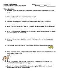 It also helps us understand how far back in time each species has. 29 Evidence Of Evolution Worksheet Answers Worksheet Project List