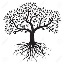 Black And White Tree Images Clip Art Vector Tree With Roots And Leafs Tree Illustration Roots Drawing Tree Drawing