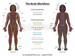 Studying these is an ideal first step before moving labeled diagram. Meridian System Black Woman Description Chart Female Body Meridian System Chart Black Woman Female Body With Labelled Canstock