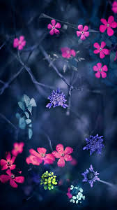 If you are looking for wallpaper bunga you've come to the right place. Pin By Háº±ng Le On Bunga Wall Paper Phone Screen Savers Wallpapers Flower Wallpaper