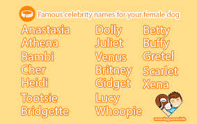 100+ magical witch dog names for male and female 2021; Cute Dog Names Female Cuteanimals