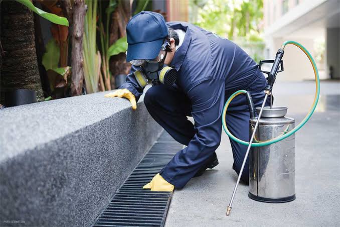 Image result for pest control"