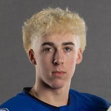 Fond du Lac Springs Ledgers