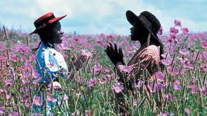 Top 10 best movies about slavery | list portal do you like to watch movies on reality? 29 Classic Movies To Watch In Honor Of Black History Month Huffpost