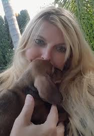 Adopting a 5-year-old red wirehair dachshund in San Diego