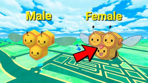 Artillerbee, A Male Combee Evolution! : R/Fakemon