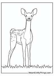 The set includes facts about parachutes, the statue of liberty, and more. Printable Realistic Animals Coloring Pages Updated 2021