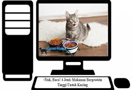 Maybe you would like to learn more about one of these? Yuk Baca 4 Jenis Makanan Berprotein Tinggi Untuk Kucing