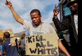Image result for south african farm murders