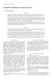 Image result for Eragrostis castellaneana