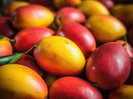 Benefits of Soaking Mango in Water Before Eating | TheHealthSite.com Photo  Gallery