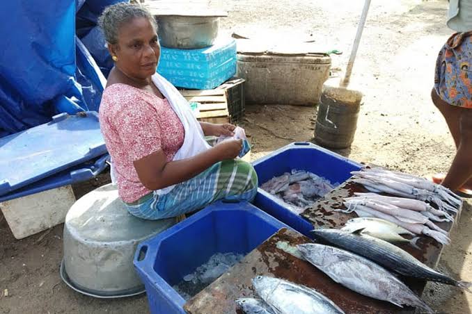 After Kerala fish market shuts, fishers seek COVID-19 relief from govt
