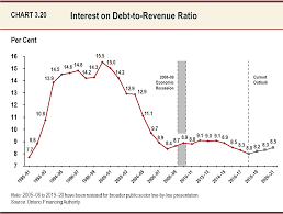 Chapter Iii Section D Borrowing And Debt Management