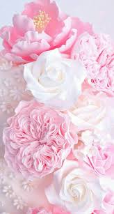 Flowers wallpapers hd sort wallpapers by: Pink And White Roses Walpaper Pink Flowers Wallpaper Floral Wallpaper Phone Flower Iphone Wallpaper