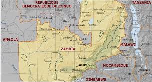 Image result for Craterosiphon quarrei