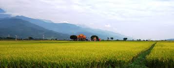 taiwan is not another asian country with crazy driving scenic travel rift valley